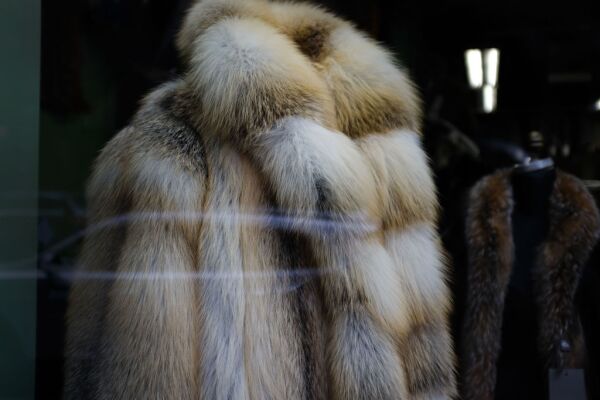 New York City Council Considers City Wide Ban On Fur Sales