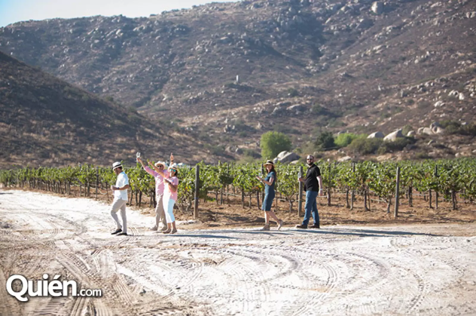 Vendimia Monte Xanic