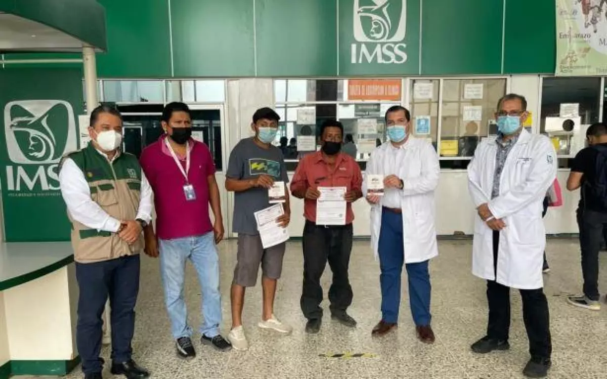 Afiliaciones al imss