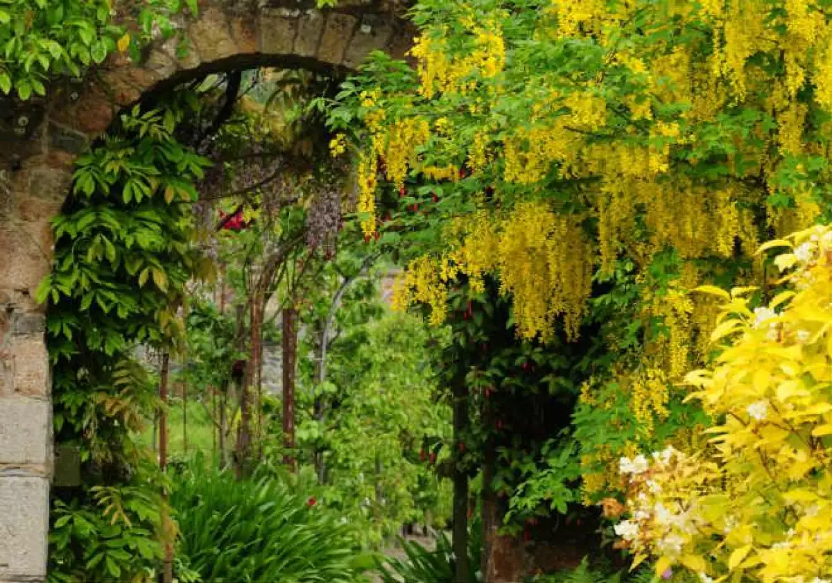 Paisaje_1