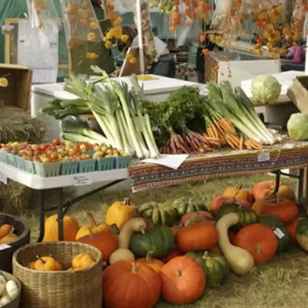 Prefiere consumir sólo comida orgánica.