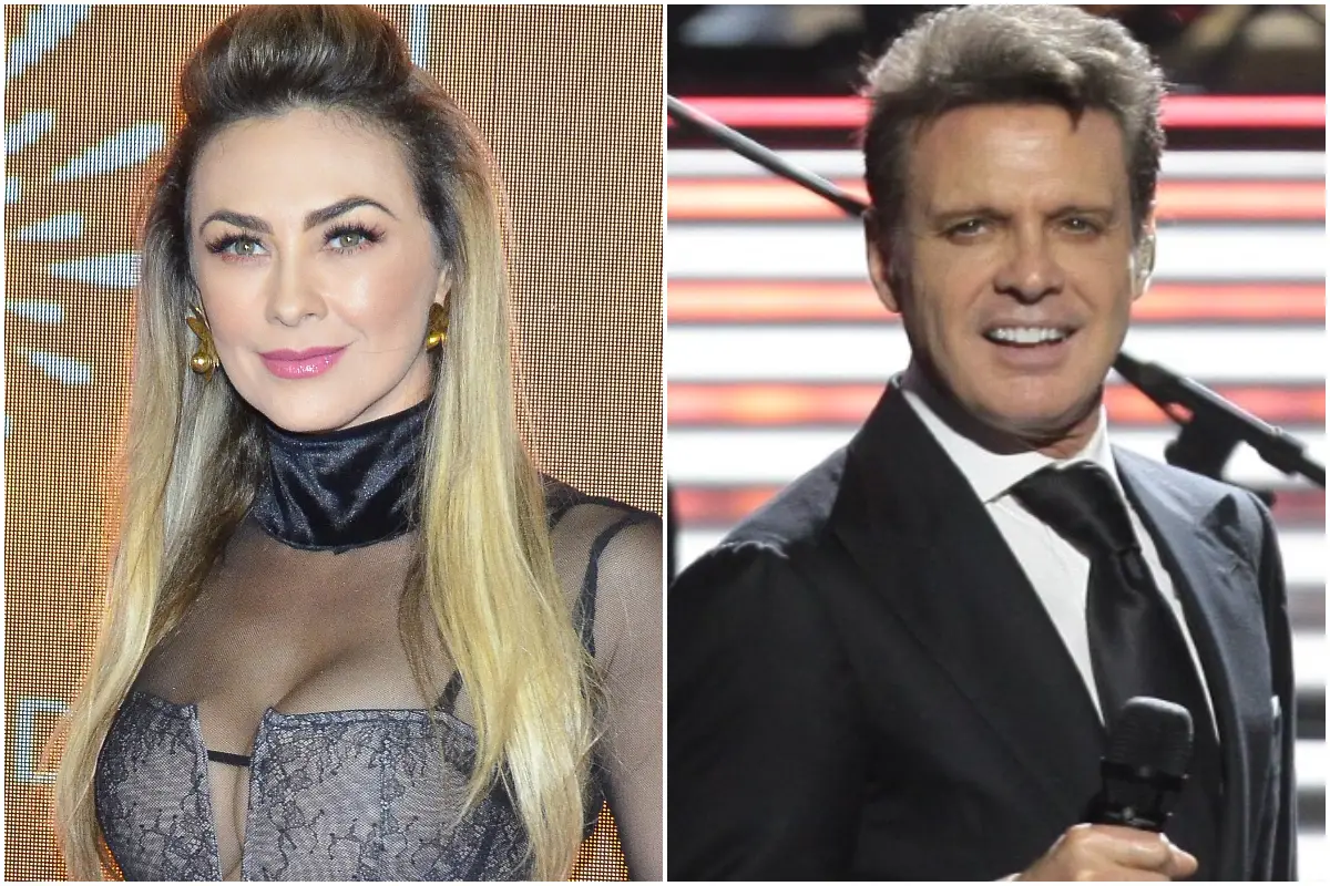 aracely-arambula-luis-miguel