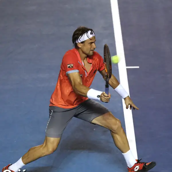 David Ferrer