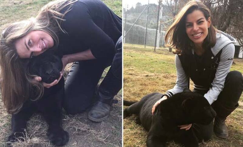 Rodeadas de leones, jaguares y tigres, las amigas disfrutaron el contacto con el mundo felino.