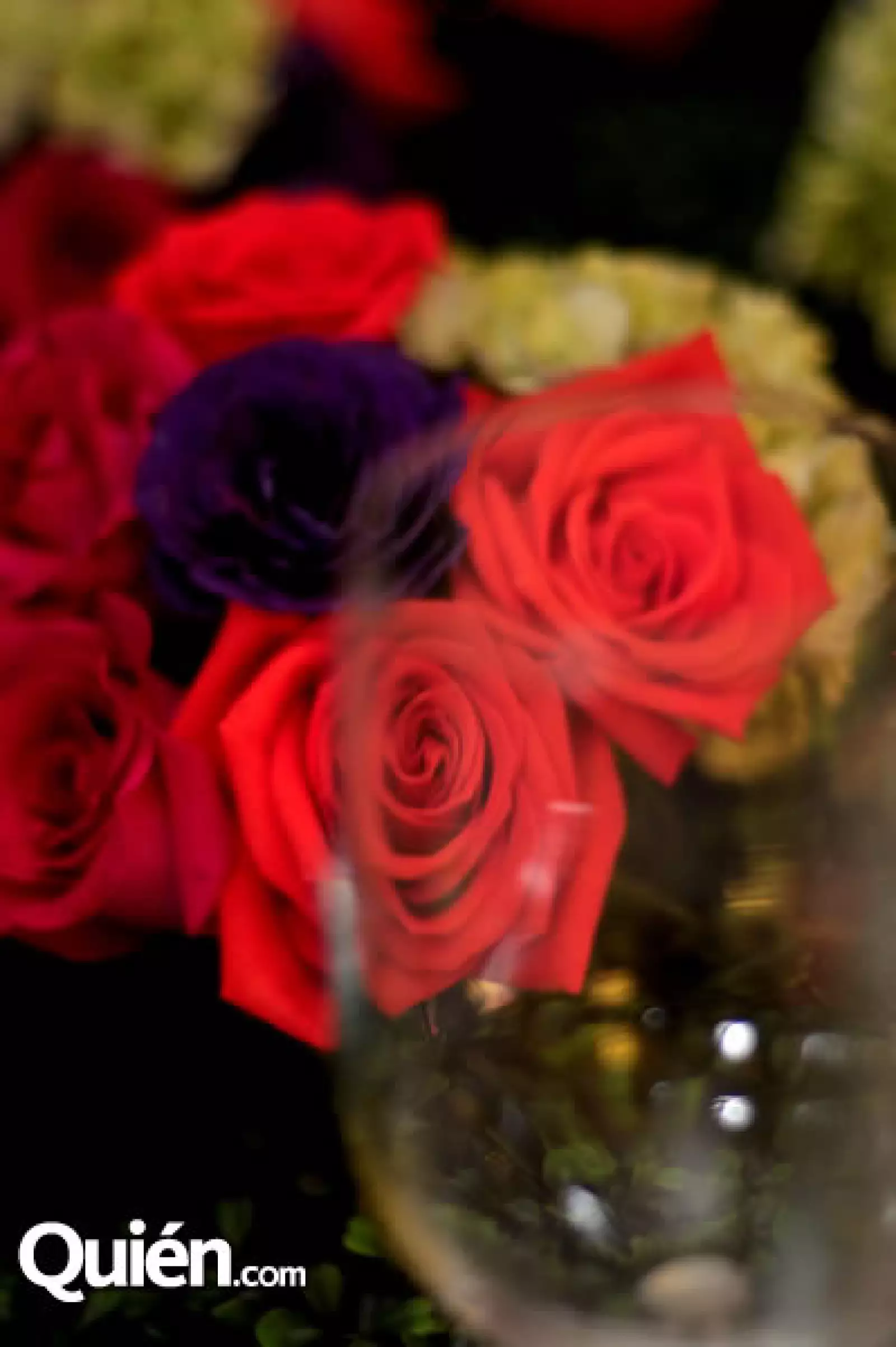 Alejandra Coppel presenta La Vie en Rose en la Boutique Cafe Maison des Fleurs