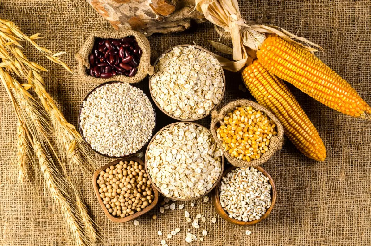 El CIMMYT, México y el futuro del maíz y el trigo. Ciencia, diplomacia y mercados en un momento decisivo