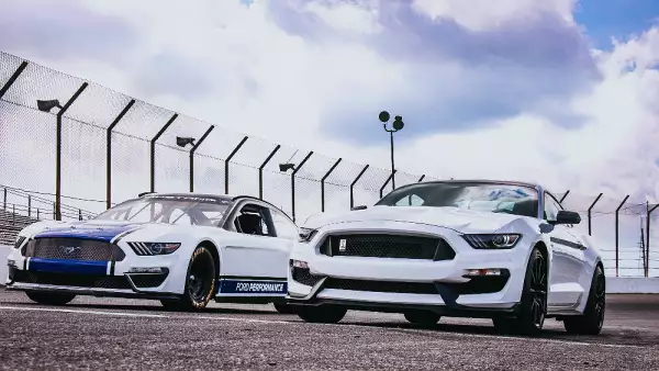 Mustang Cup