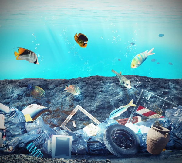 Contaminación