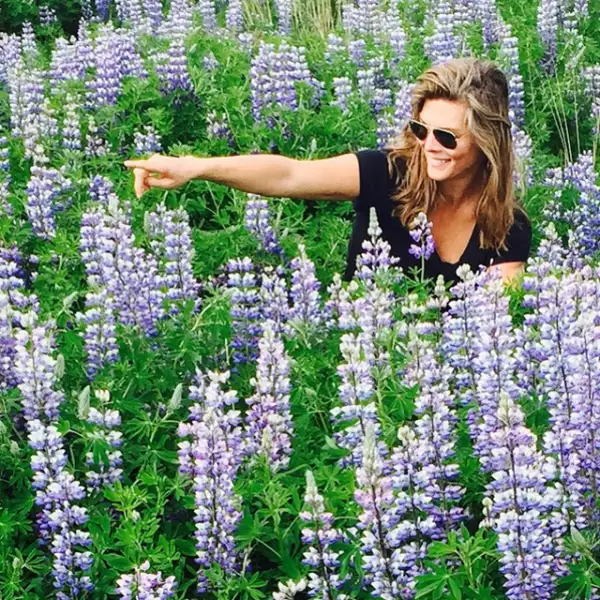 Alaskan Lupin es la flor de verano de Islandia.