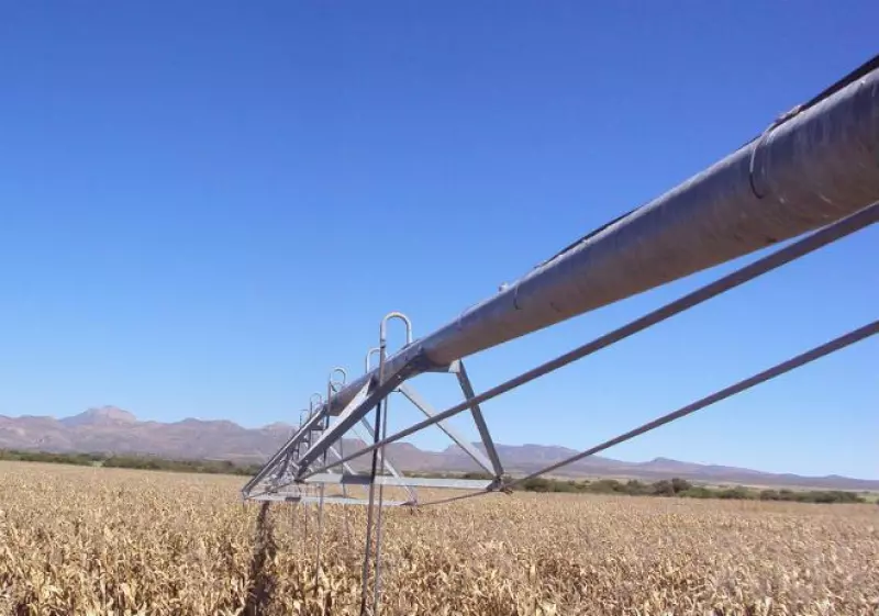 Riego agr�cola infraestructura