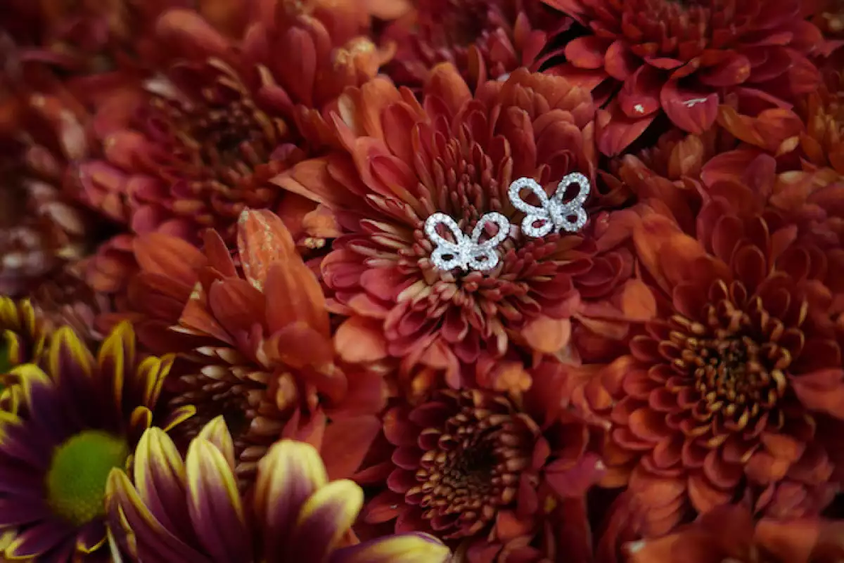 Los aretes para la ganadora 