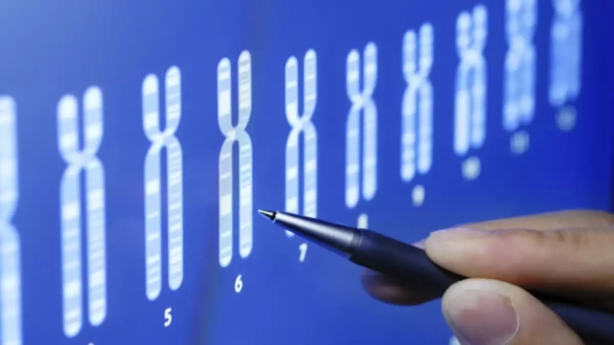 genes autismo