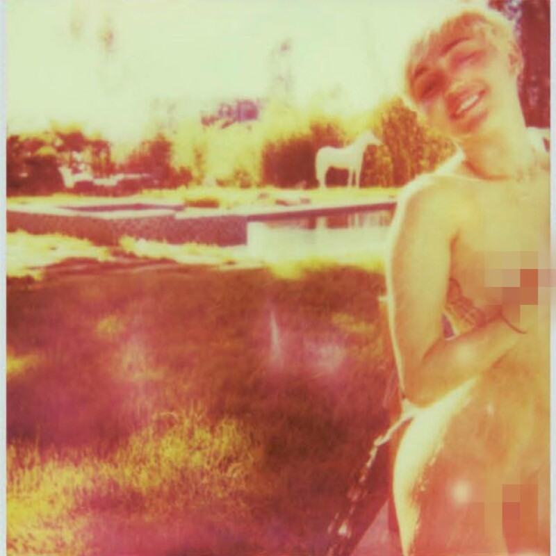 La colección de fotos fue tomada en la casa de Miley en LA y en su gira mundial.