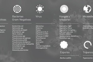 Nanotecnología, arma contra los microorganismos