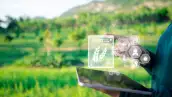 Así es como la IA puede reducir el estrés hídrico en la agricultura 