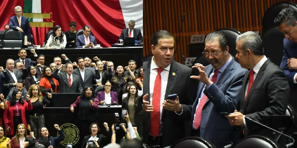division-pt-morena-diputados (1).jpg