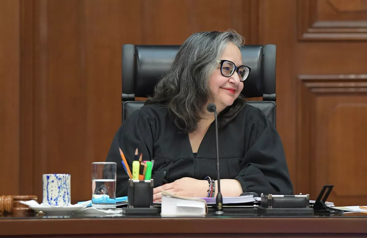 SCJN Disposiciones Derechos de Autor-3