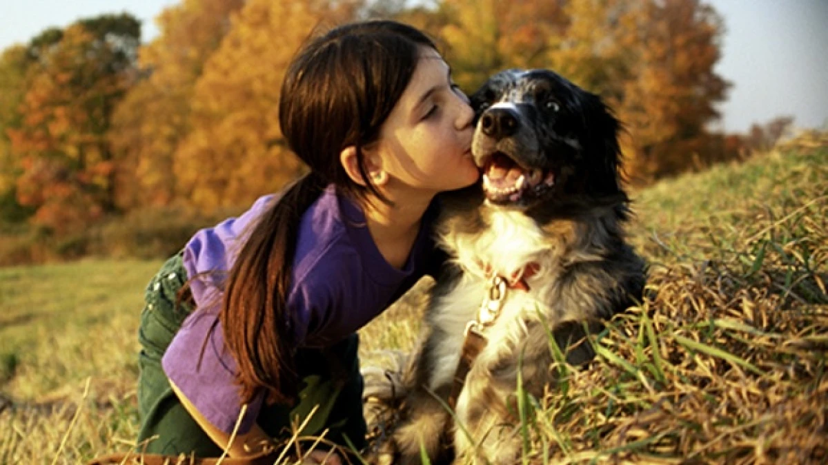 puppy otono happy