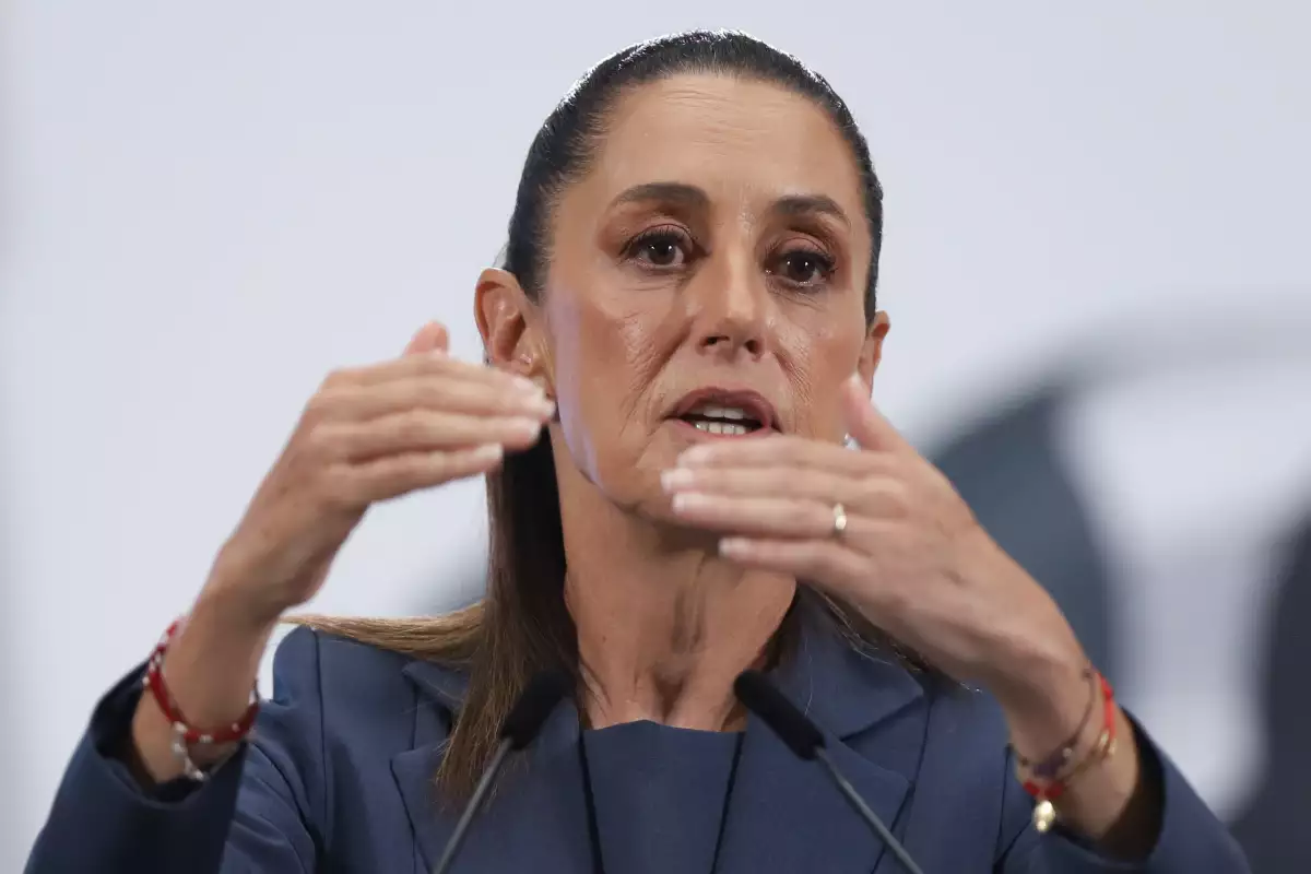 sheinbaum-diputada