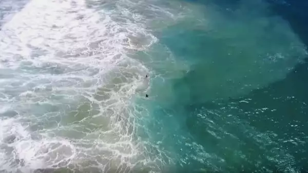 Dron