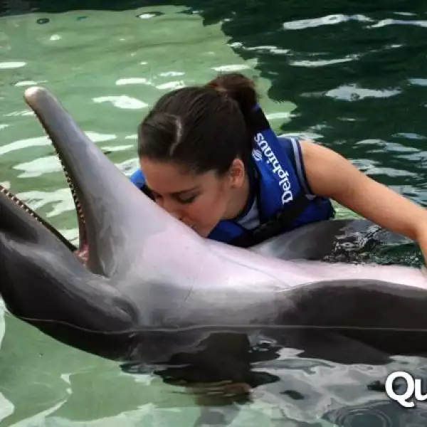 Ana Claudia Talancón rostro Delphinus