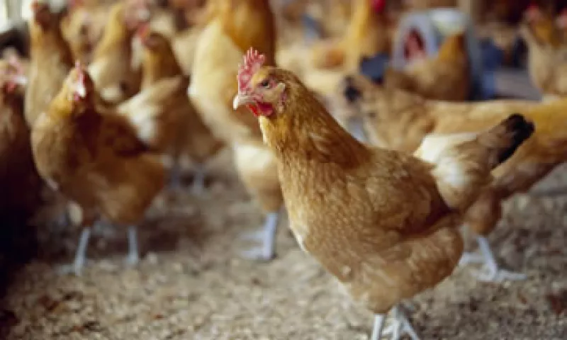 La CFC indicó que los involucrados tienen 30 días hábiles para interponer un recurso de consideración.  (Foto: Getty Images)