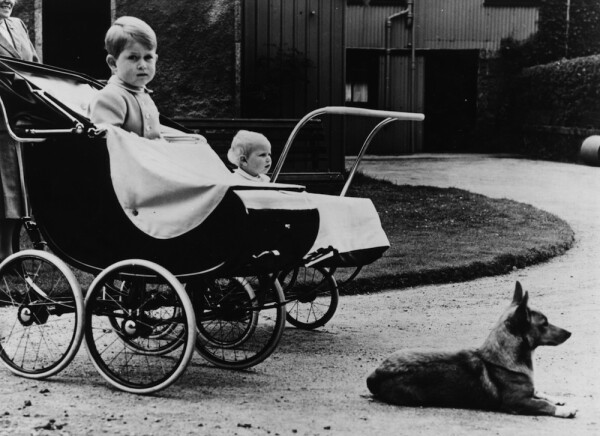 Prince Charles And Princess Anne