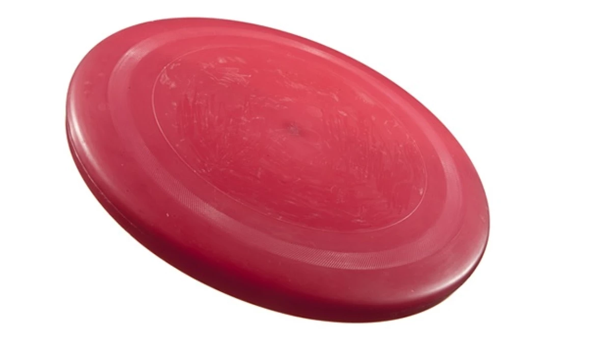 frisbee
