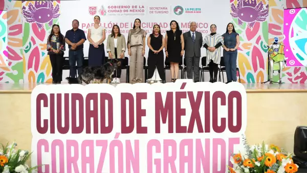 tianguis turistico cdmx