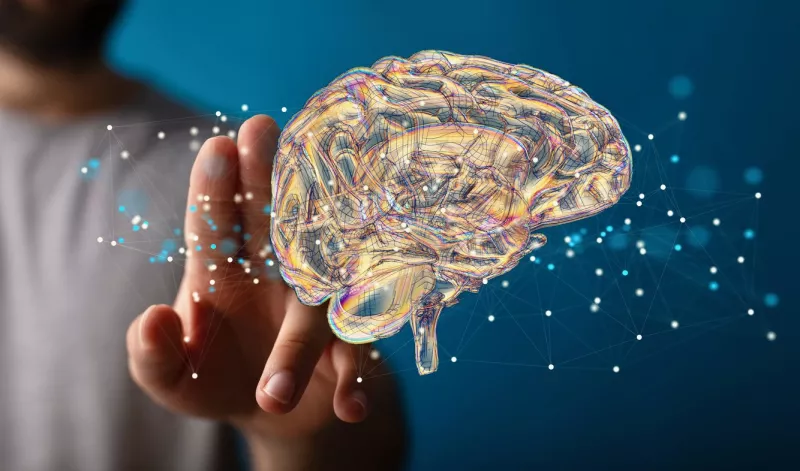 Científicos hallan la “brújula interna” que permite al cerebro mantener siempre el rumbo