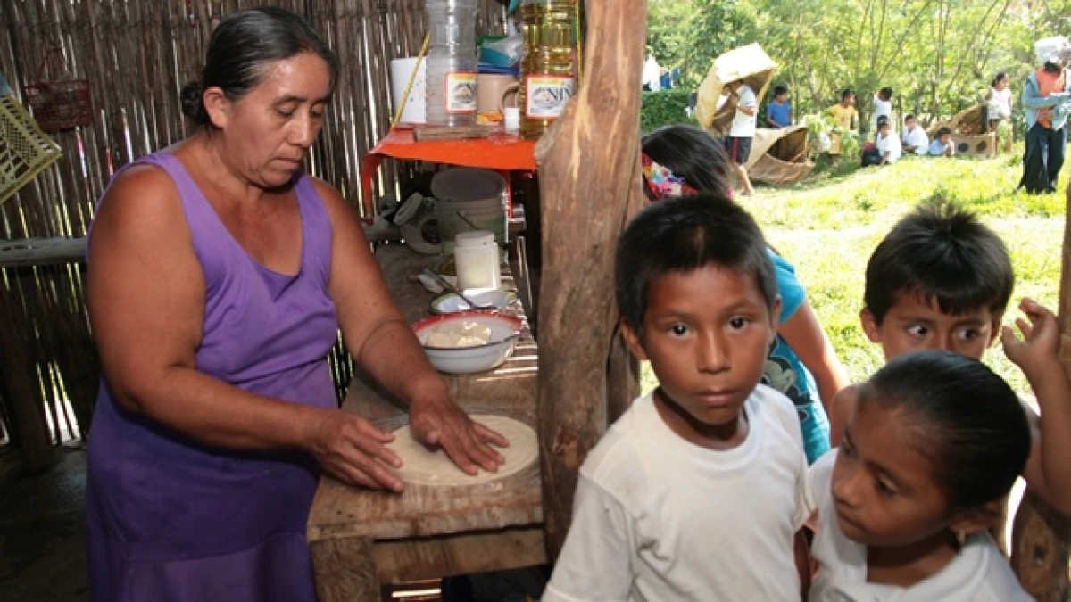 indigenas recursos naturales