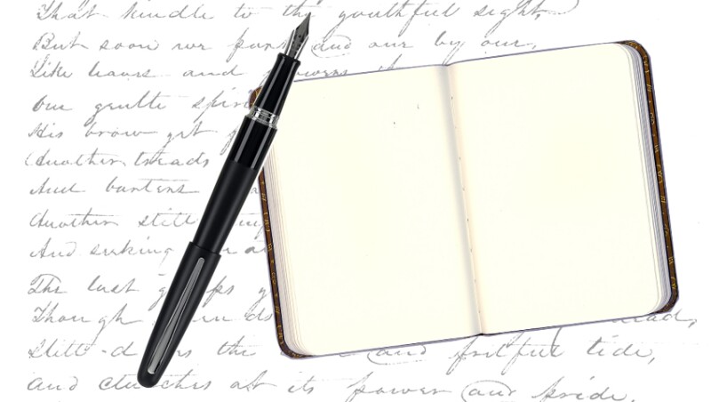 Escribe en un diario todas las noches.