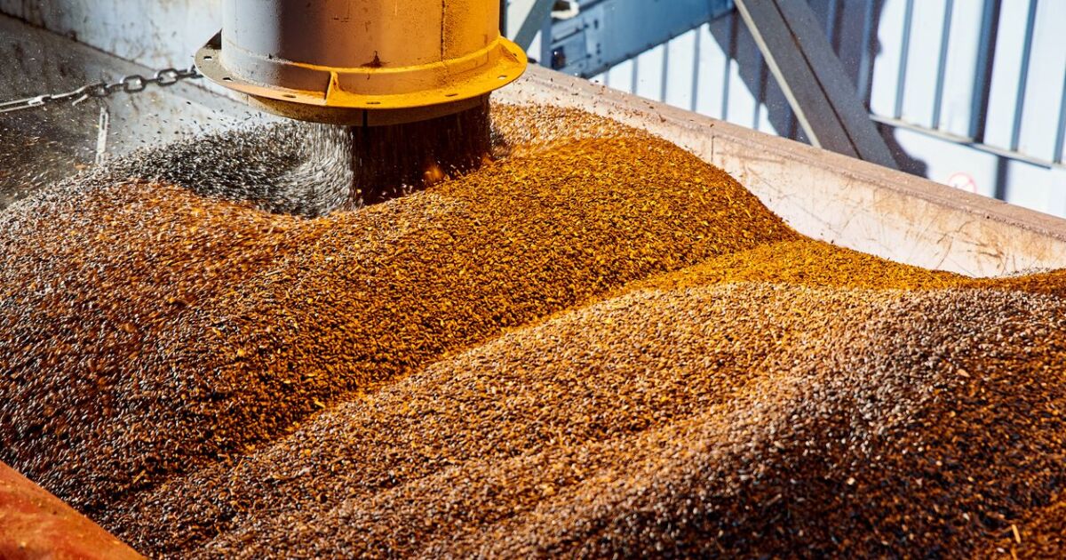 FAO'ya göre küresel gıda fiyatları 2023'te %13,7 düştü
