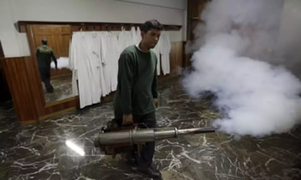 La fumigación solo sirve para acabar con moscos adultos, no con sus larvas. (Foto: Reuters)