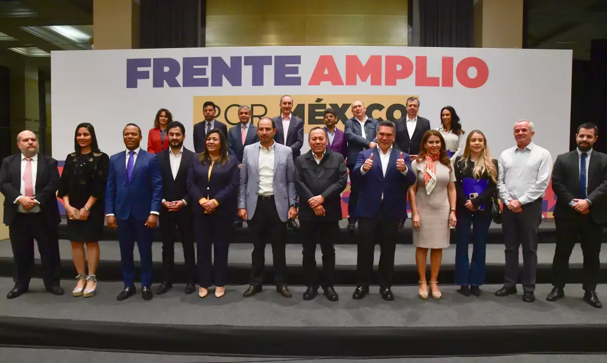 firmas-frente-amplio-por-mexico
