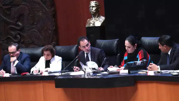 comparecencia Arturo Herrera.jpeg