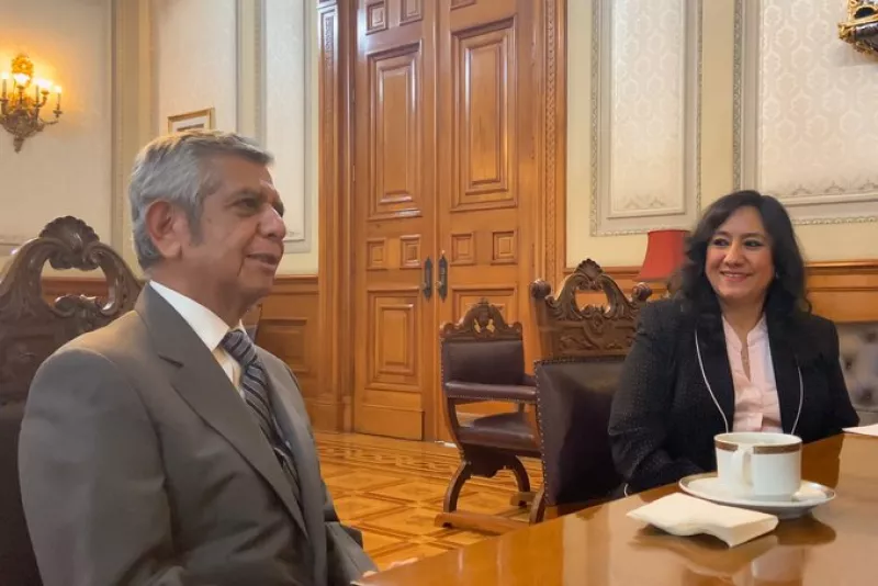 Irma Eréndira Sandoval.jpeg