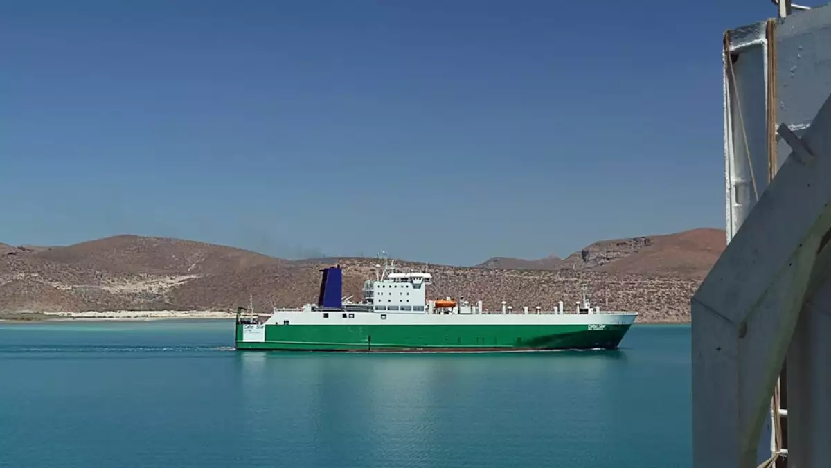 Baja Ferries invirtió 450 mdp en barcos y planea nuevas rutas.
