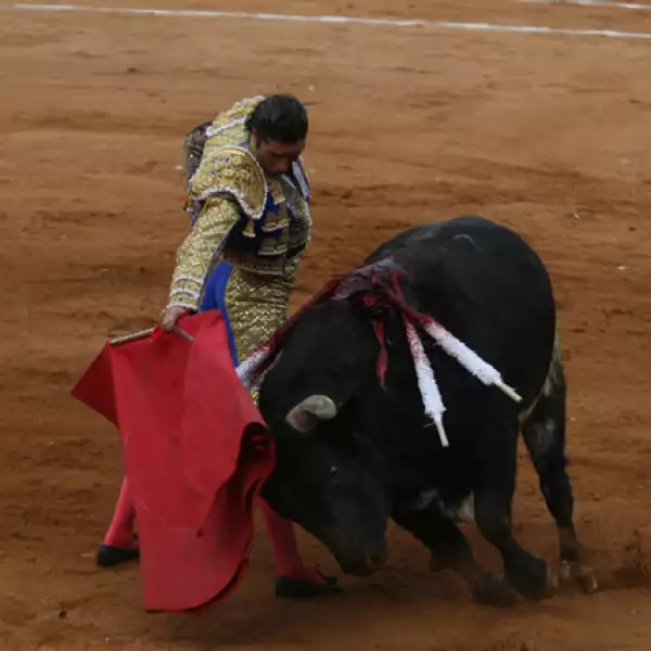 Corrida de Toros 15/02