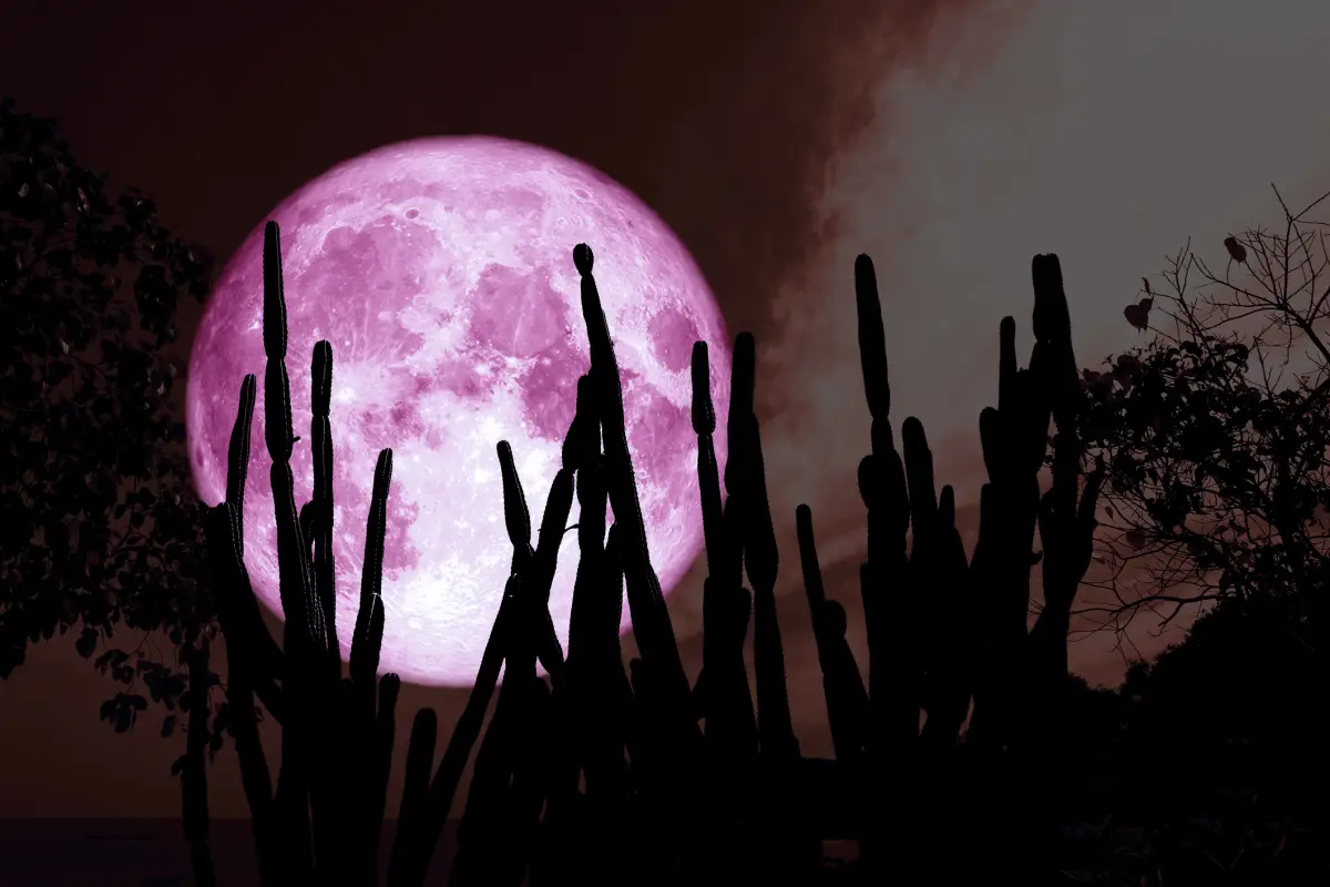 ¿Cuándo es luna llena en junio 2025? Este día es la luna de fresa 
