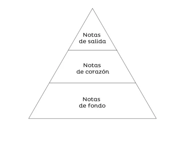 "Las notas son una pirámide: tienes las notas de salida, las notas de corazón y las notas de fondo."