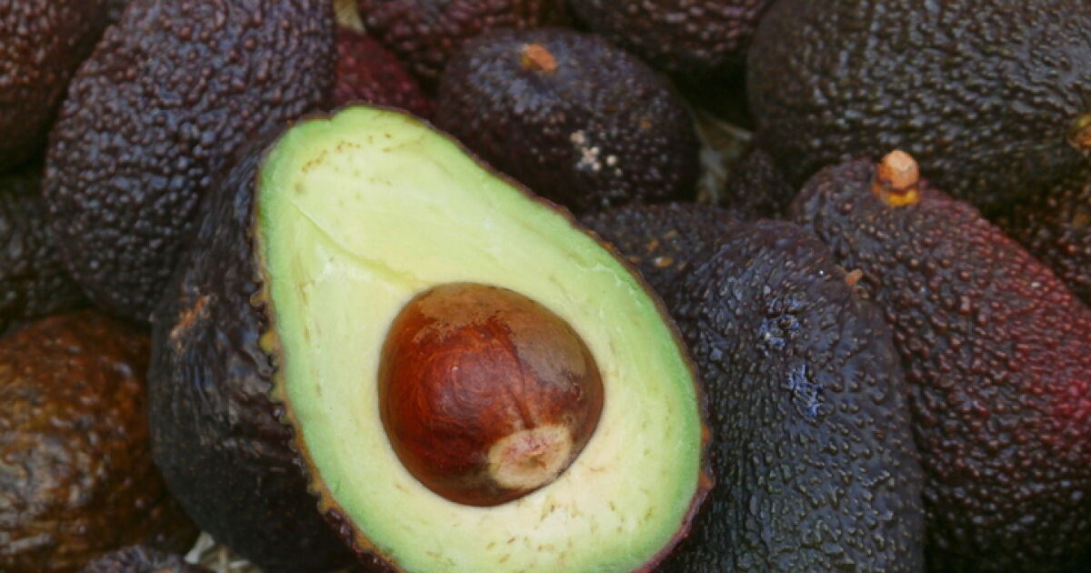 Süper kase… guacamole