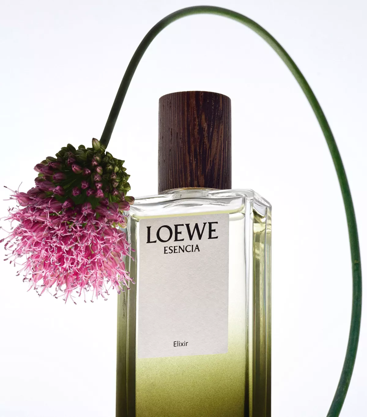 loewe.jpg