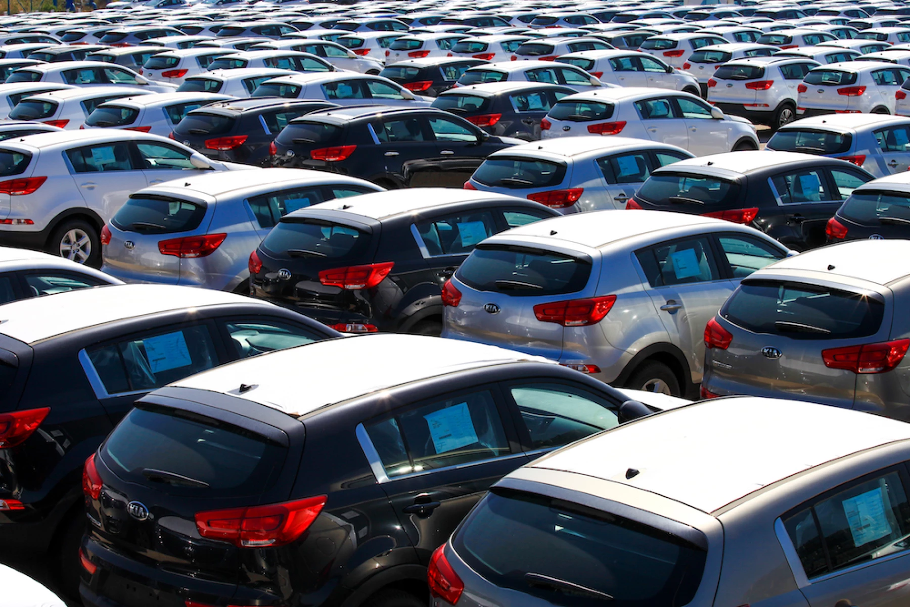Rows of new cars covered in protective white sheet