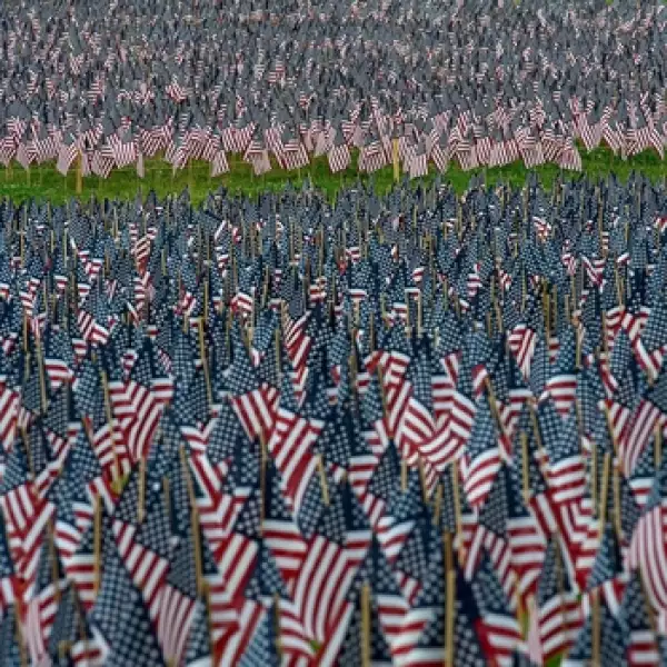 estados unidos, veteranos