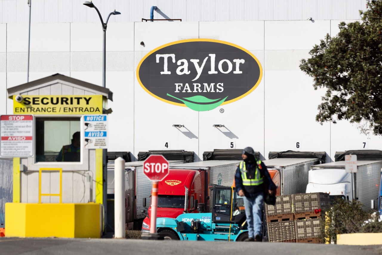 ¿Quién está detrás de Taylor Farms? La empresa de lechuga vinculada por EU al brote de ciclosporiasis