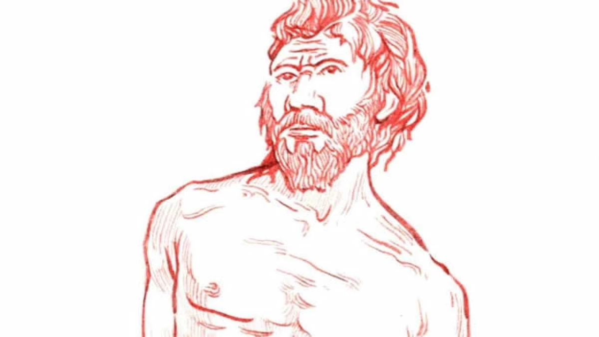 homo heidelbergensis