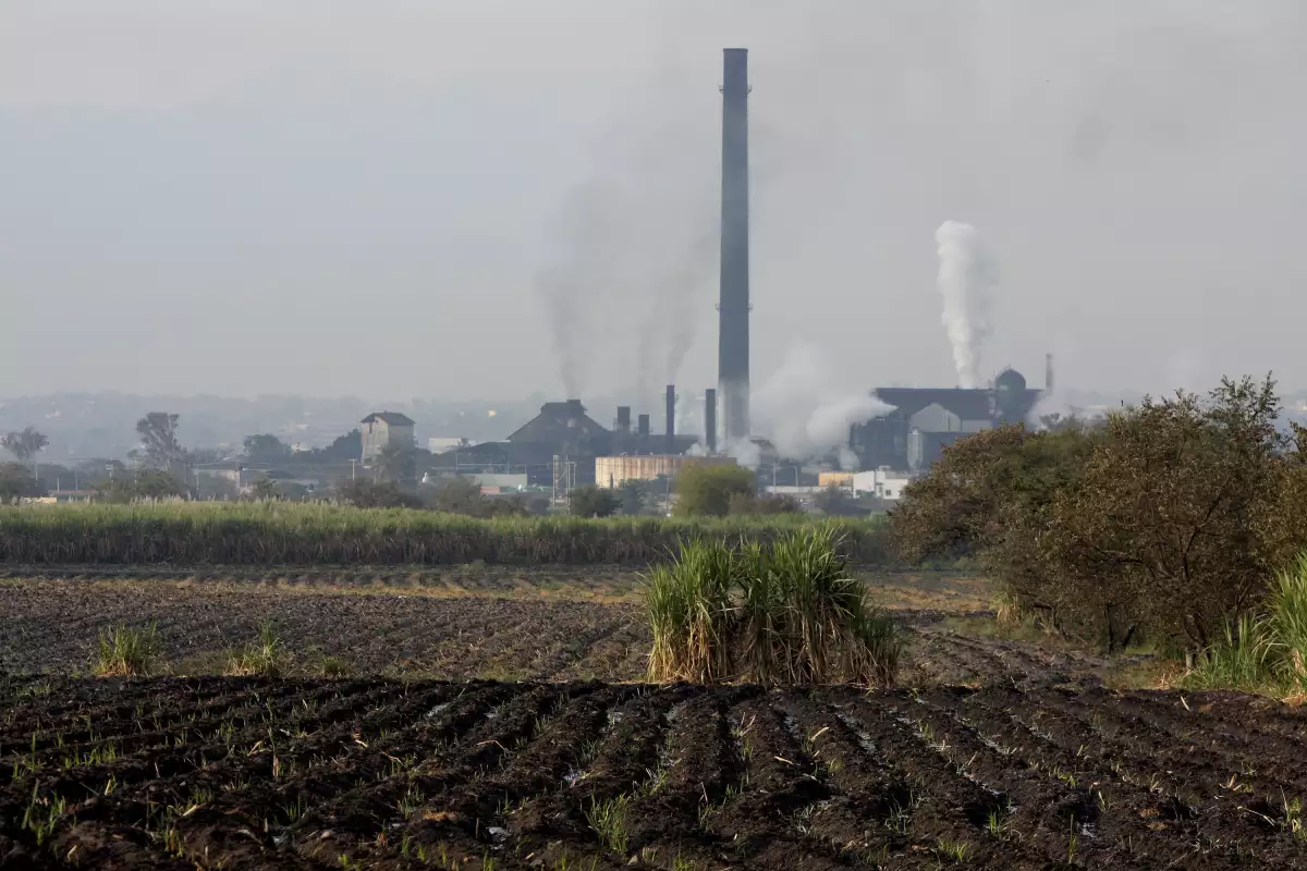 Industria_Azucarera_Can771era-8.jpg