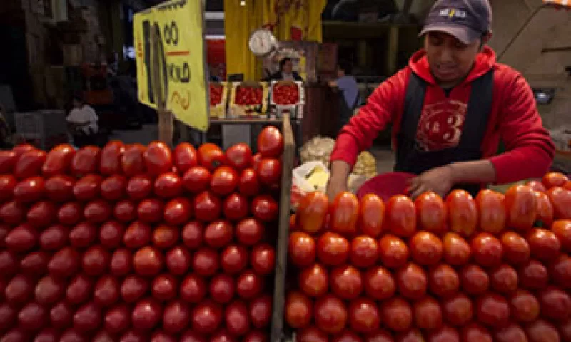 50% del tomate que se consume en Estados Unidos es mexicano. (Foto: AP)