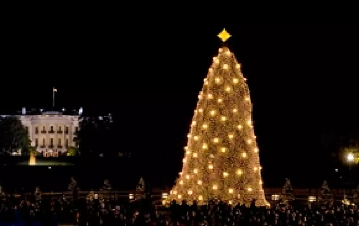 Así lució el árbol.